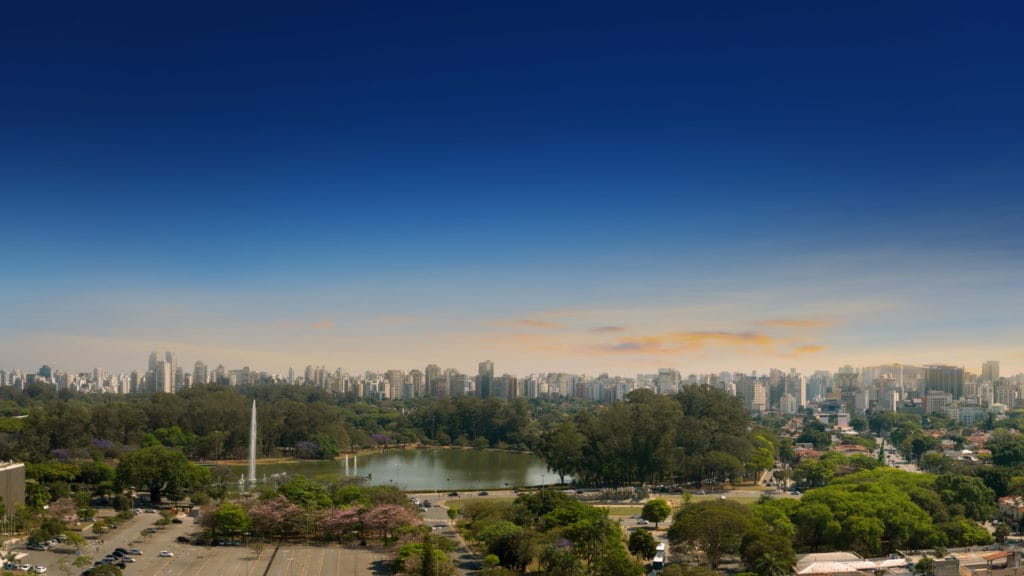 Vista Do Horiz Ibirapuera