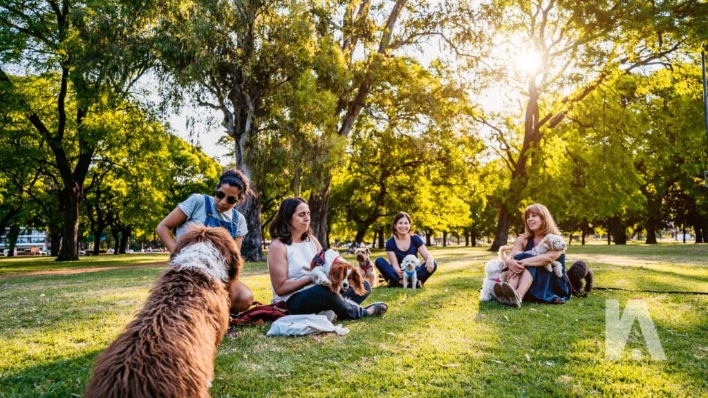 Pessoas Com Seus Pets No Parque Do Povo, No Itaim Bibi.